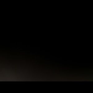 Meet your Posher, Rex